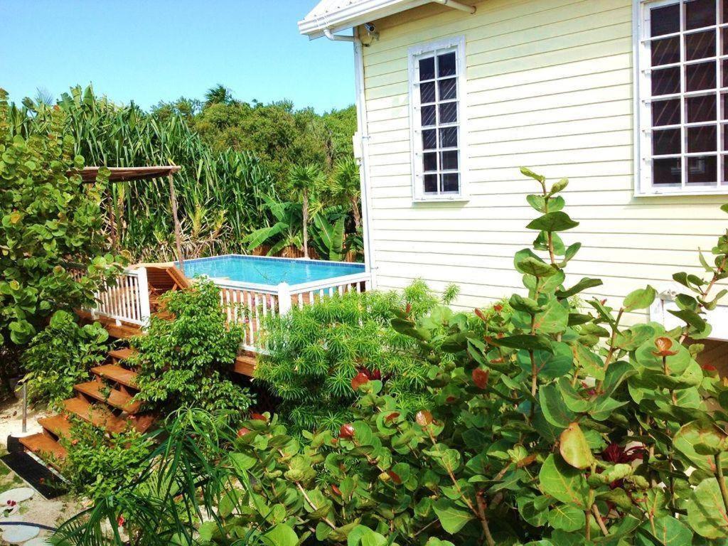 Vila Hidden Gem Cabana Caye Caulker Exteriér fotografie